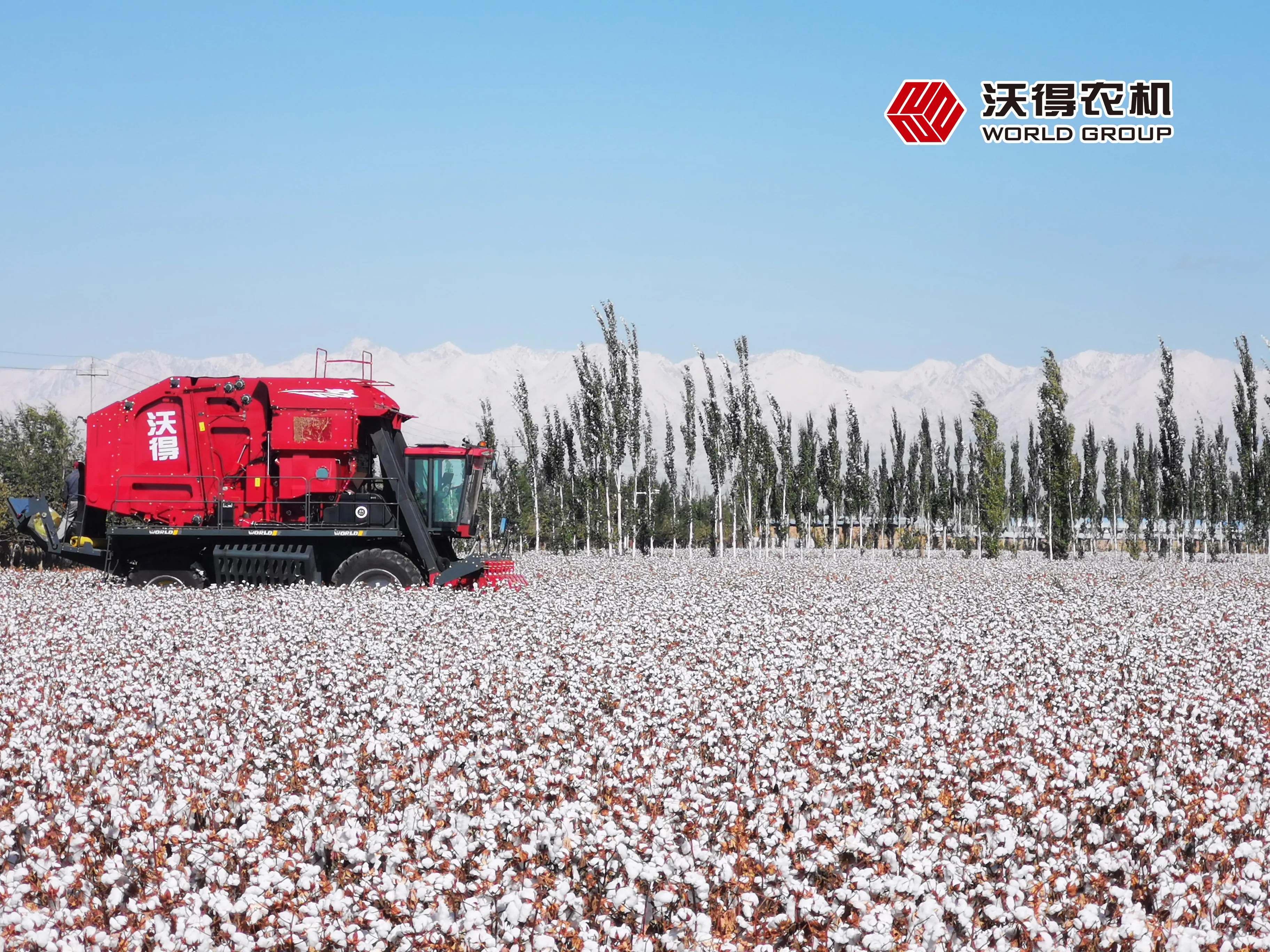 cotton harvester