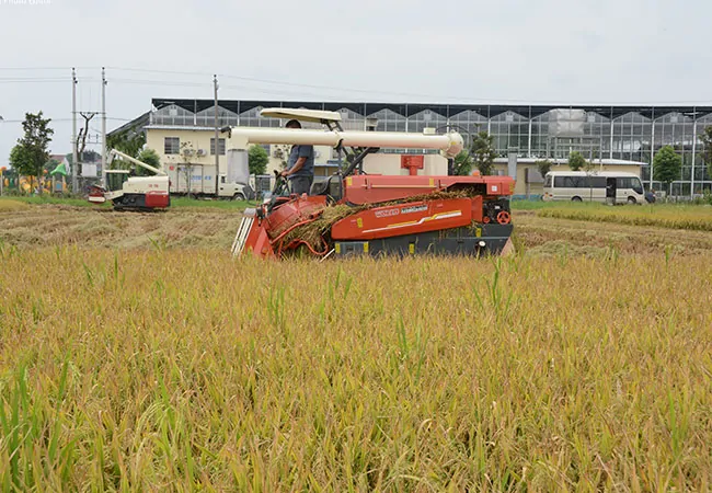 Combine-Harvester-Head-Feed2 Combine-Harvester-Head-Feed2